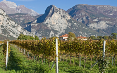 Legge per il riconoscimento e la promozione delle zone montane. Luci e Ombre, occasione persa